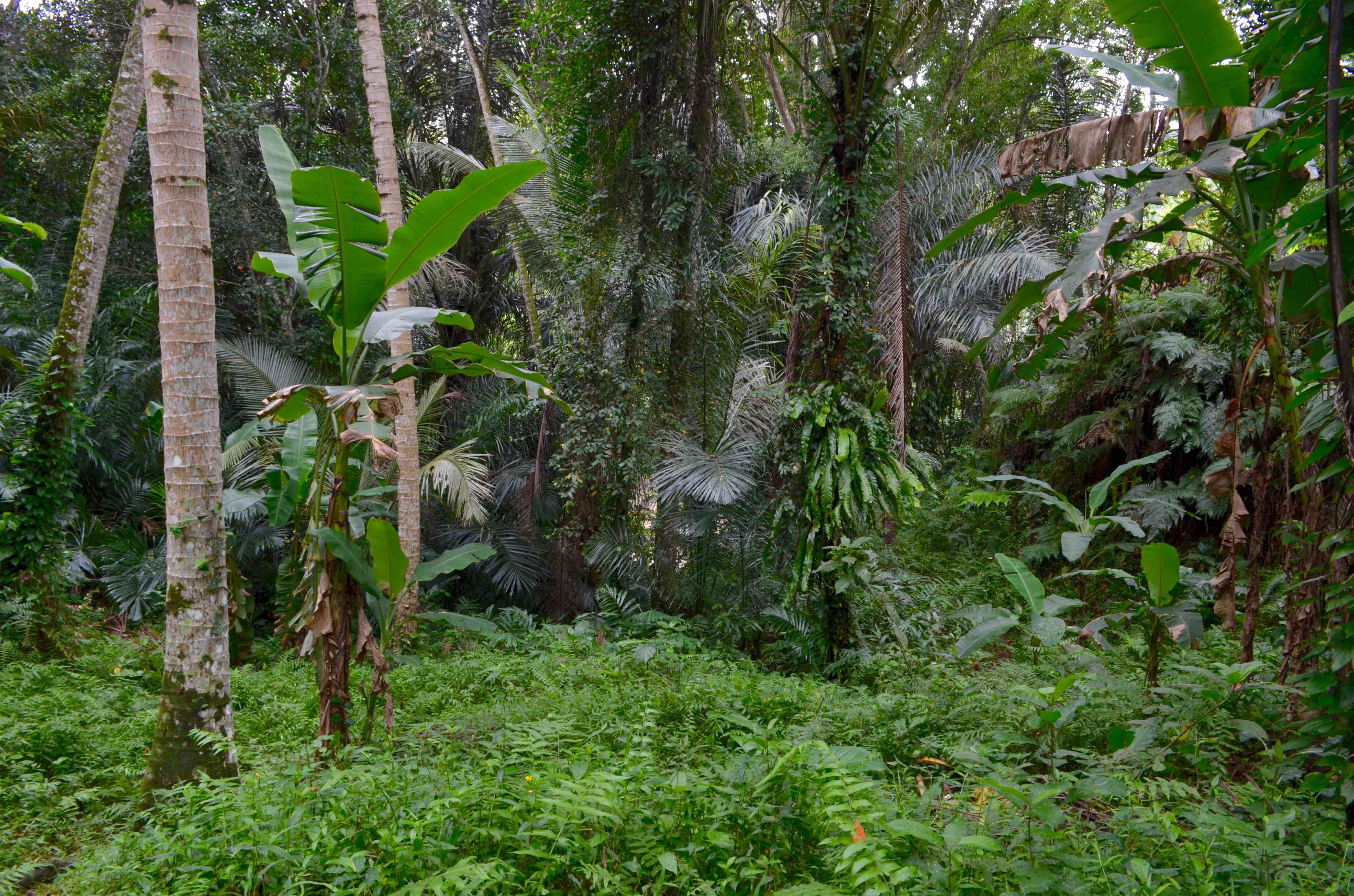 "Image description
here"